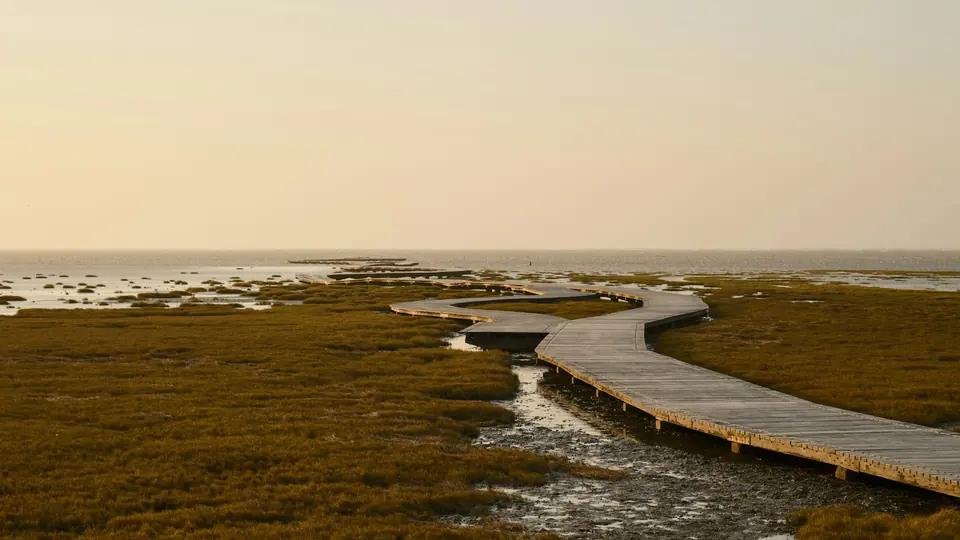 Gangbro av tre som bukter seg gjennom en strandeng mot havet i kveldslys