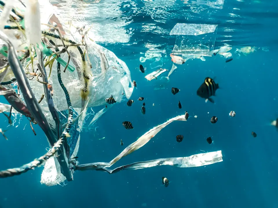 Små fisk svømmer mellom plastposer, tau og plastrester under vann